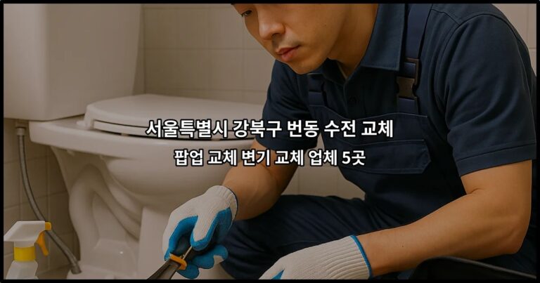 서울특별시 강북구 번동 수전 교체 팝업 교체 변기 교체 업체 5곳