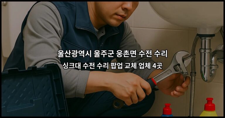 울산광역시 울주군 웅촌면 수전 수리 싱크대 수전 수리 팝업 교체 업체 4곳
