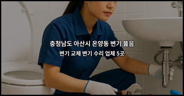 충청남도 아산시 온양동 변기 뚫음 변기 교체 변기 수리 업체 5곳