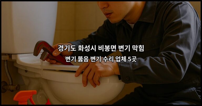 경기도 화성시 비봉면 변기 막힘 변기 뚫음 변기 수리 업체 5곳