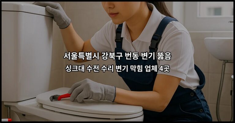 서울특별시 강북구 번동 변기 뚫음 싱크대 수전 수리 변기 막힘 업체 4곳