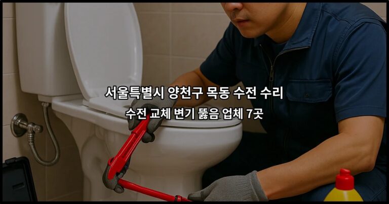 서울특별시 양천구 목동 수전 수리 수전 교체 변기 뚫음 업체 7곳